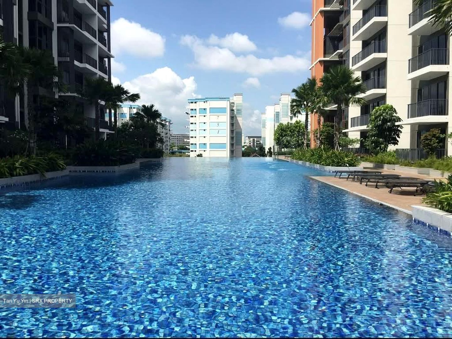 North Park Residences (D27), Apartment #558622771